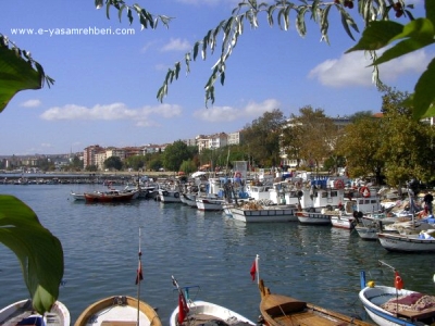 Tekirdağ Otobüs Firmaları